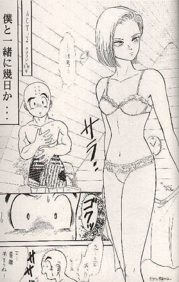 c18 cover