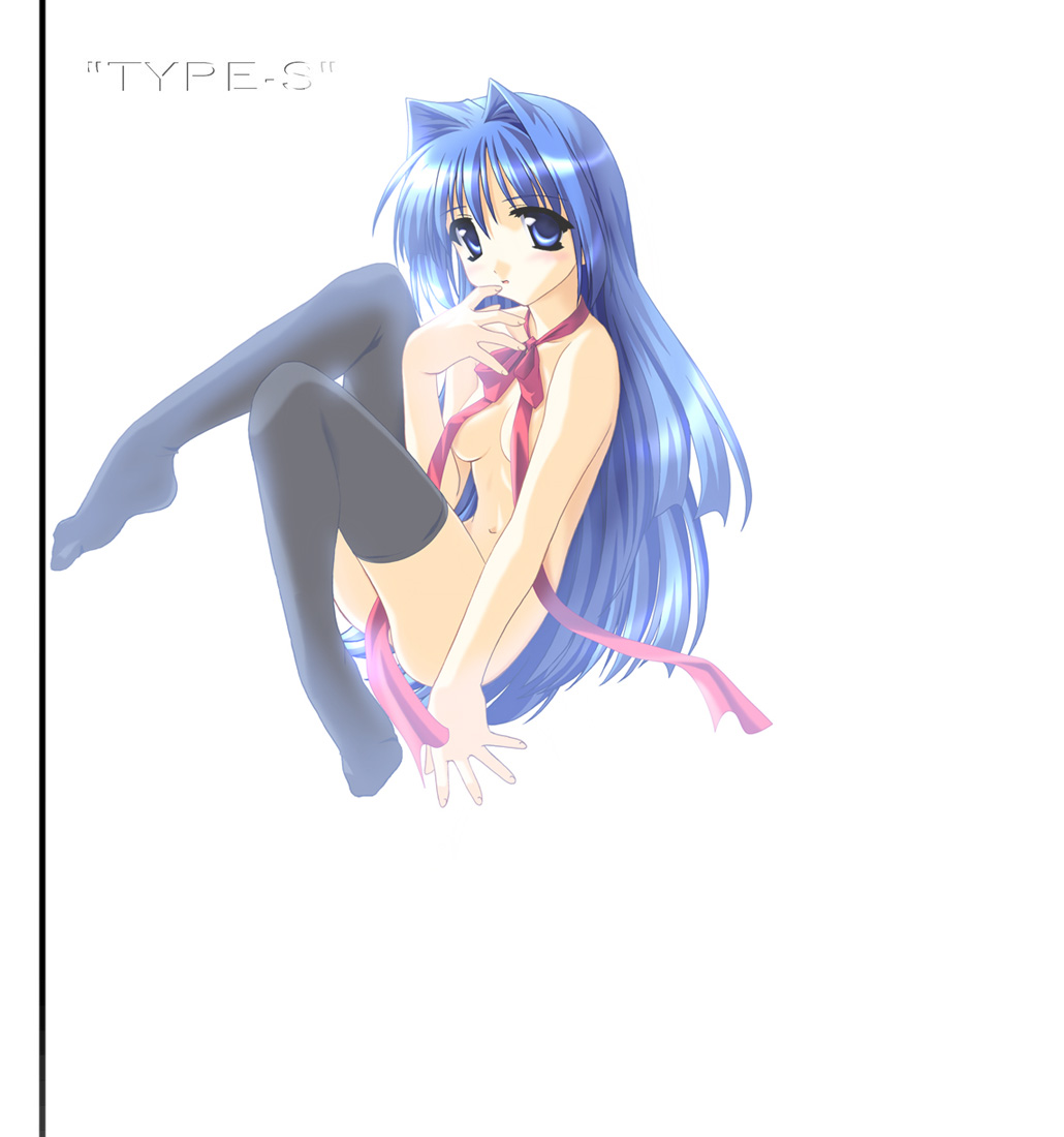TYPE-S N1 page 1 full