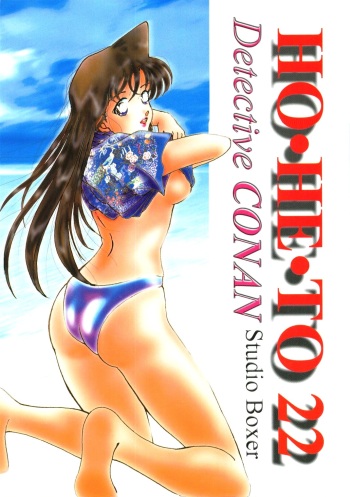 HOHETO 22 cover