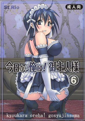 Kyou Kara Ore wa! Goshujin-sama 6 cover