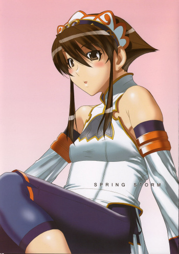 SPRING STORM cover