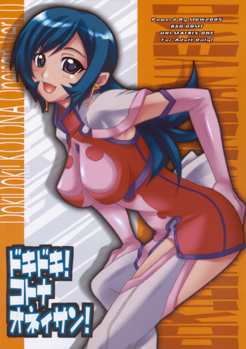 DokiDoki! Kotona Oneisan! Ver. 1.0 cover