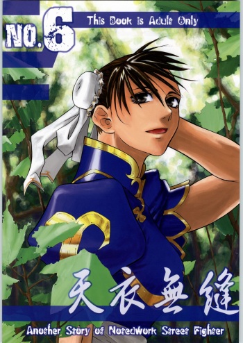 Tenimuhou No.6 - Another Story of Notedwork Street Fighter cover