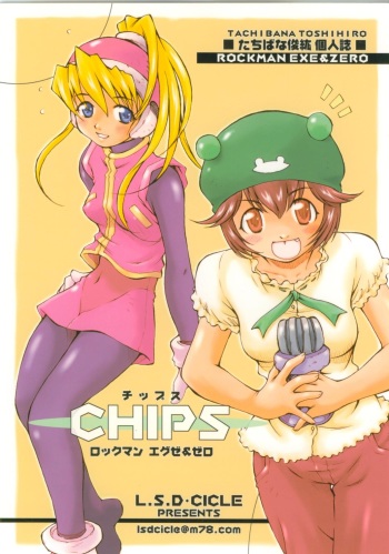 Chips cover
