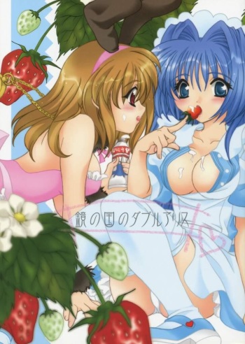 Kagami no Kuni no Double Alice cover