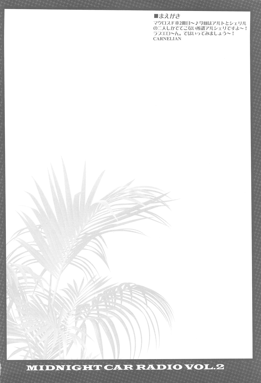 MIDNIGHT CAR RADIO VOL.2 page 3 full