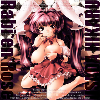 Needle Garden Vol. 13 cover