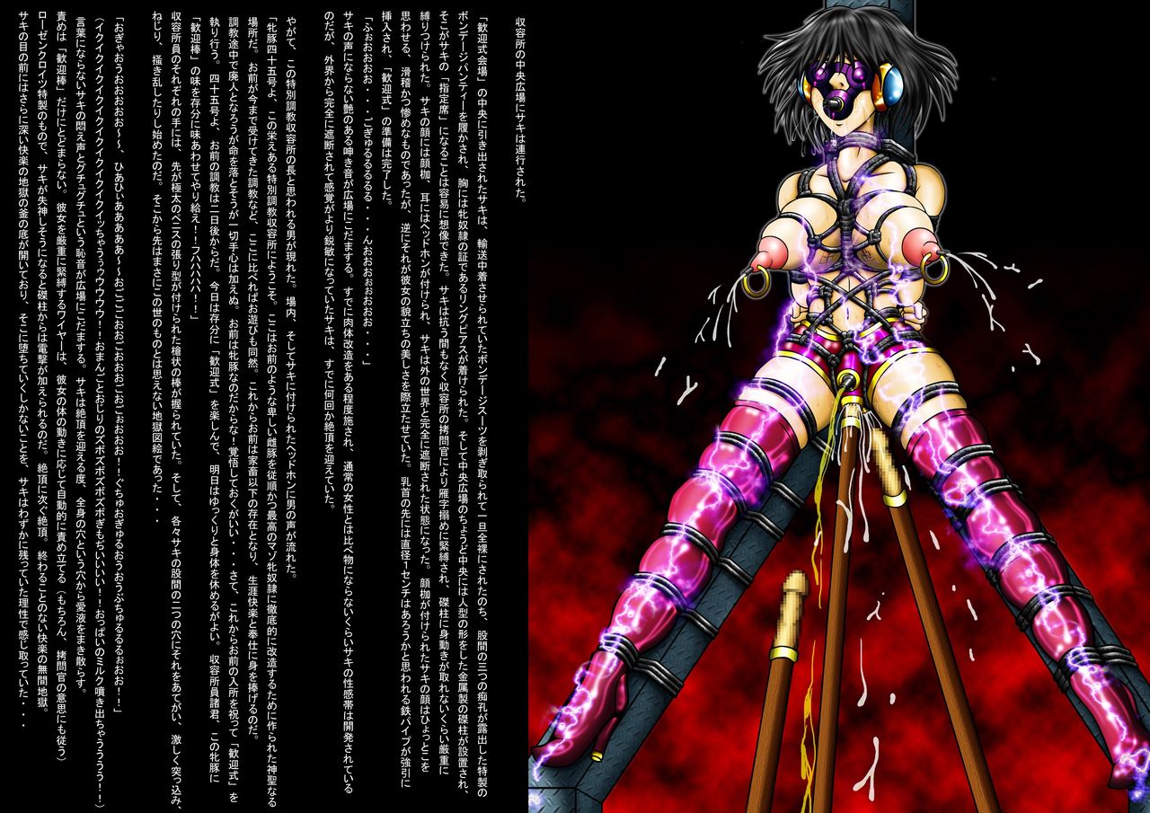 Moto WCPO Josei Sousakan Kusanagi Saki Kinbakuga Daisanshuu  "Maso Mesu Dorei Yonjuugo-gou Nikutei Datenroku" page 6 full