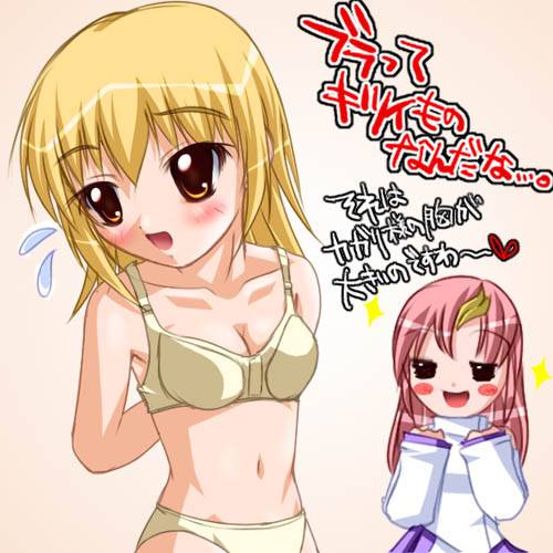 Gundam Seed Images page 2 full
