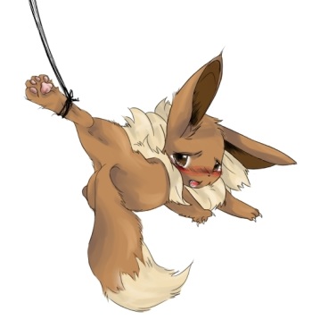 Pokemon pic collection cover