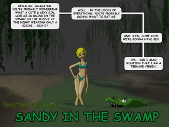 Sandy in the Swamp cover