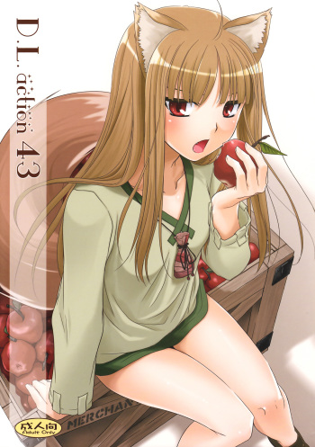 D.L. action 43 cover