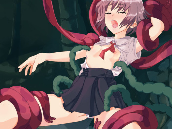 Syokusyoku cover