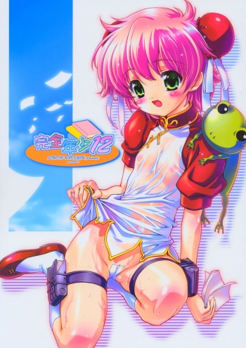 Kanzen Nenshou 12 cover