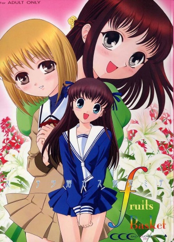 Subete o Tokasu Hohoemi de cover