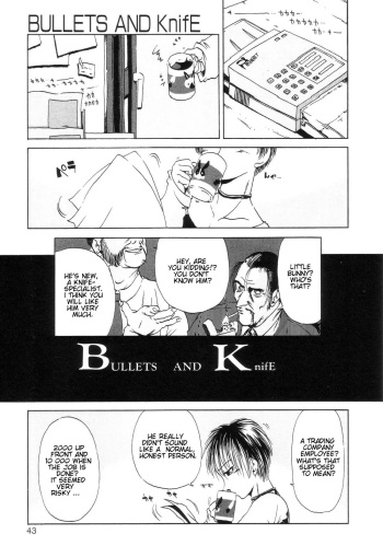 Bullets and knife cover