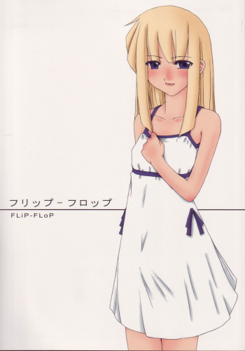 FLiP-FLoP cover