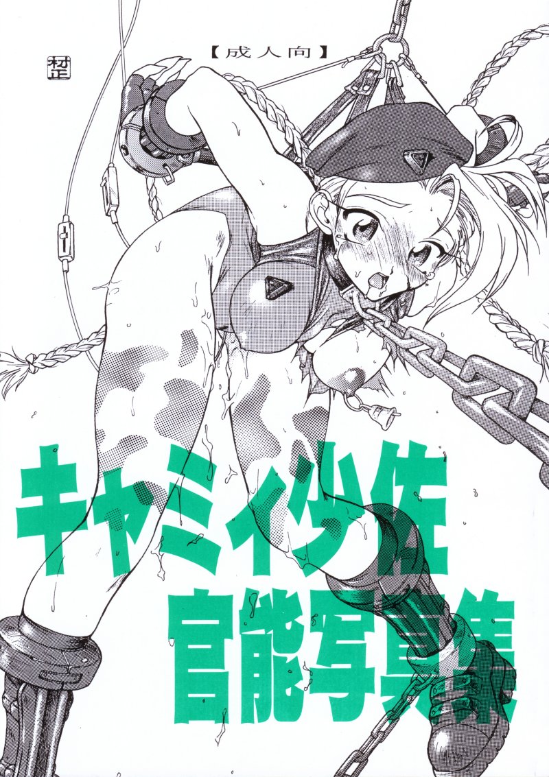 Cammy Shousa Kannou Shashinshuu page 1 full