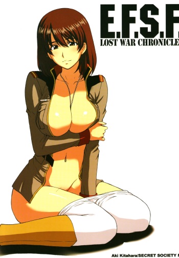 E.F.S.F. Lost War Chronicles cover