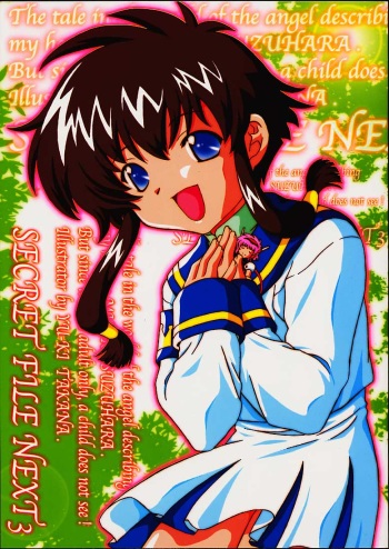 Secret File Next 3 cover