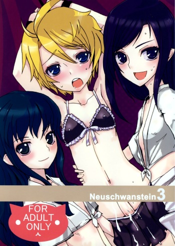 Neuschwanstein 3 cover