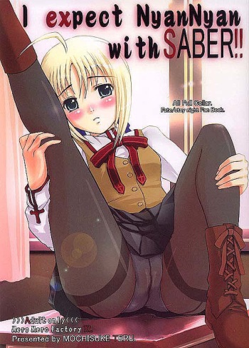 I Expect NyanNyan with Saber!! cover