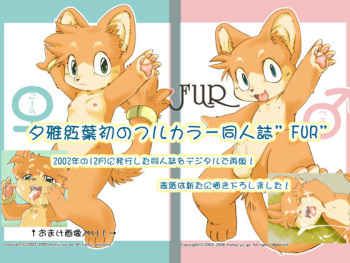 FUR cover