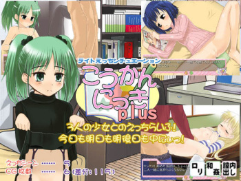 Koukan Nikki Plus cover