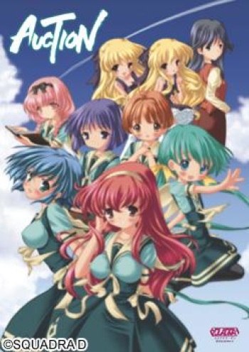 Auction cover