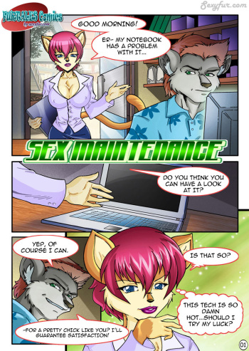 Sex Maintenance cover