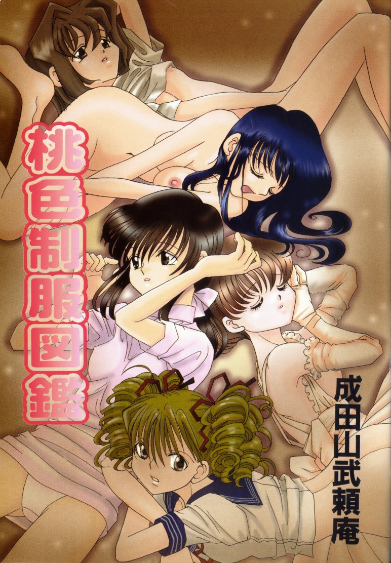 Momoiro Seifuku Zukan | Sexual Uniform Guide page 3 full