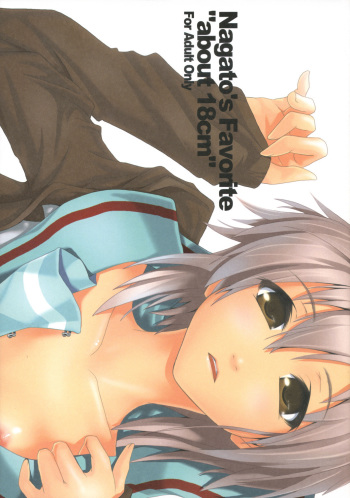 Nagato's Favorite "about 18cm" cover
