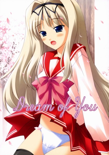 Dream of You cover