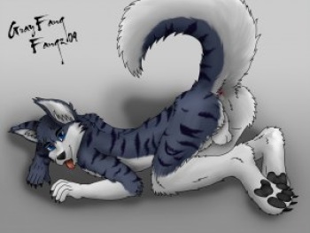Furry&amp;other artists cover