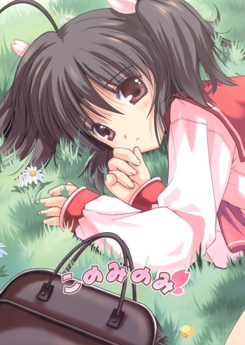 Konomi no Mi cover