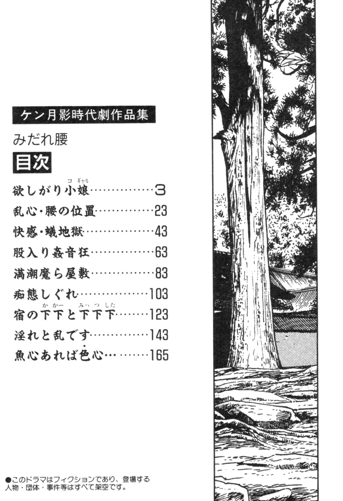Midare Goshi Jidaigeki Series 4 page 5 full