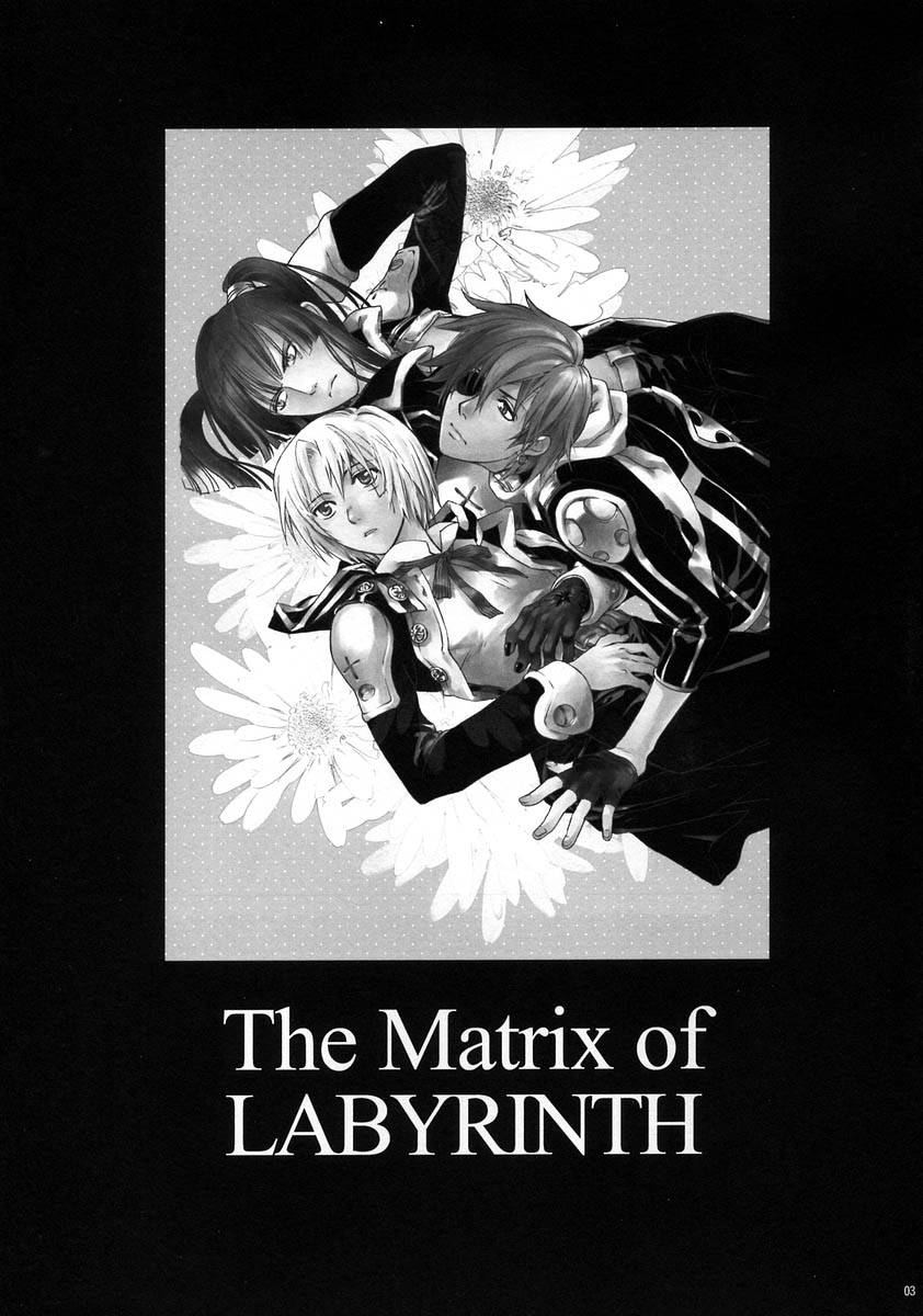 The Matrix of Labirynth page 2 full
