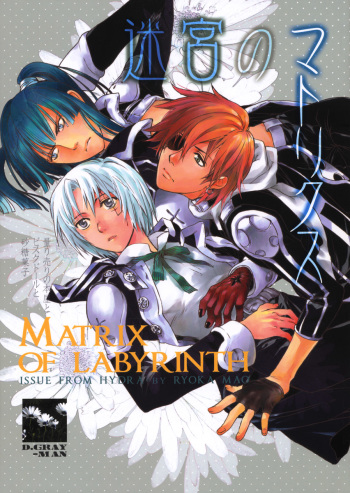 The Matrix of Labirynth cover