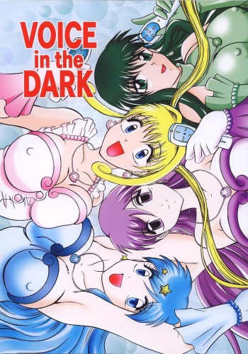 VOICE in the DARK cover