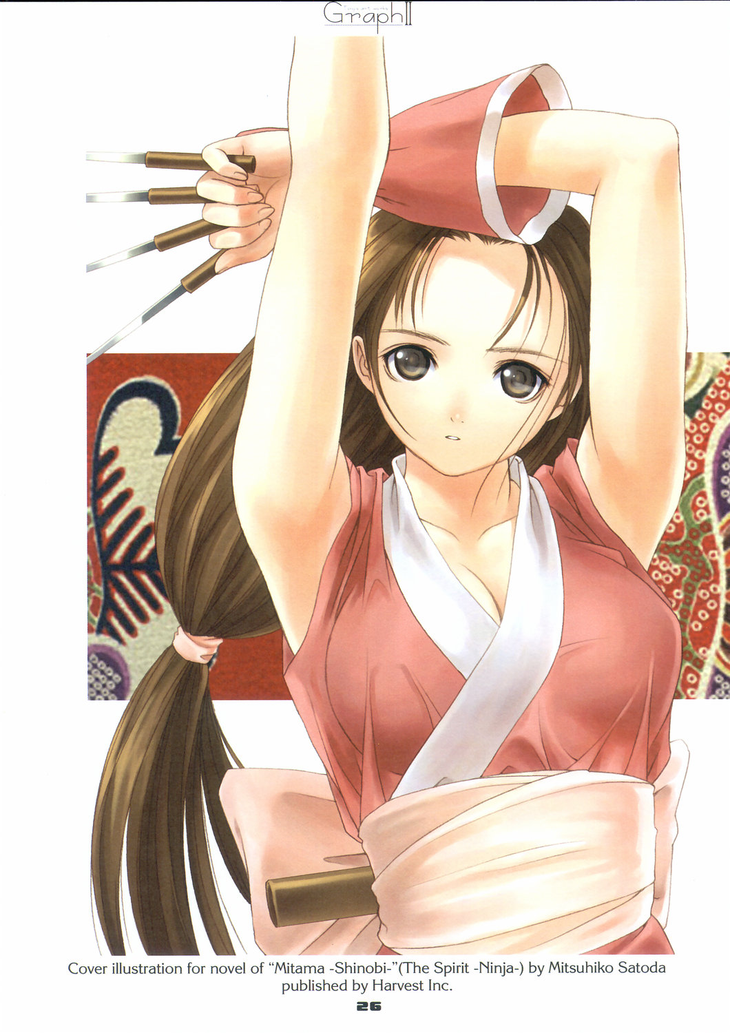Assorted Ecchi Collection #055 page 5 full
