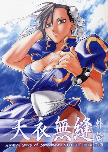 Tenimuhou Gaiden cover