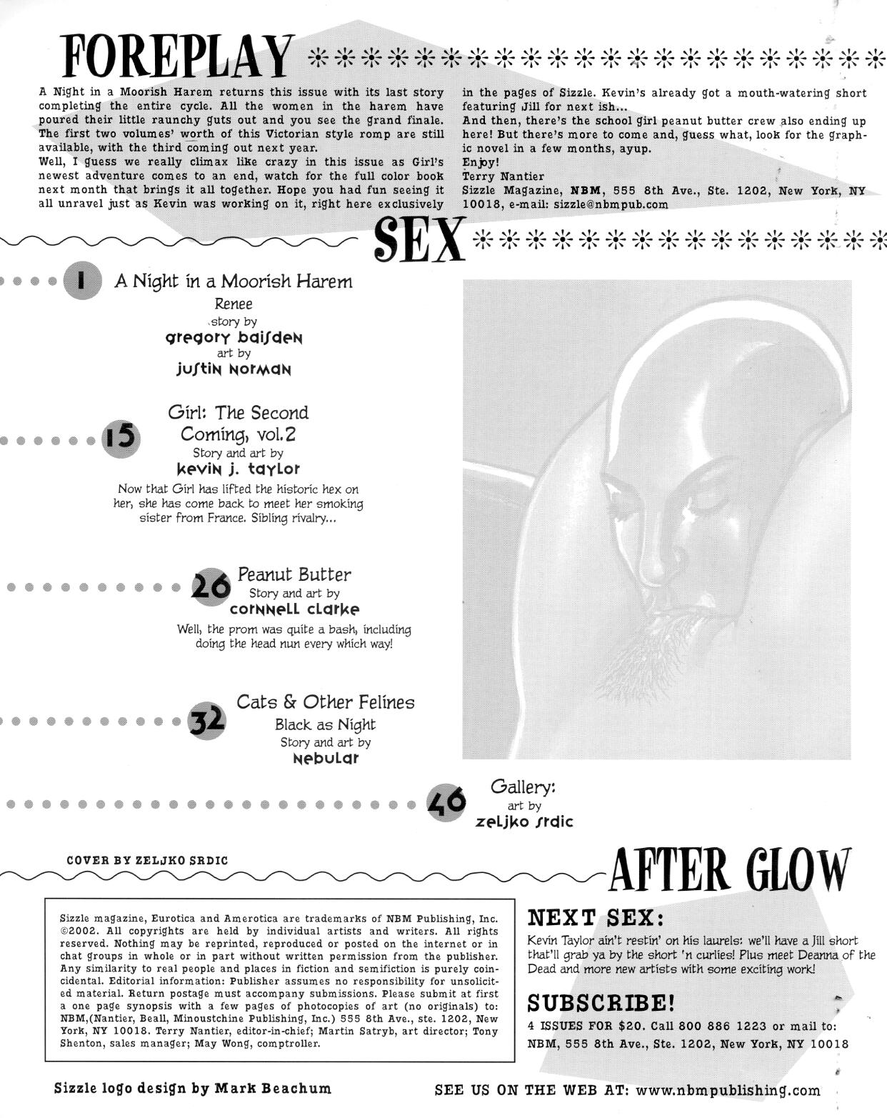Sizzle Comix # 16 page 3 full