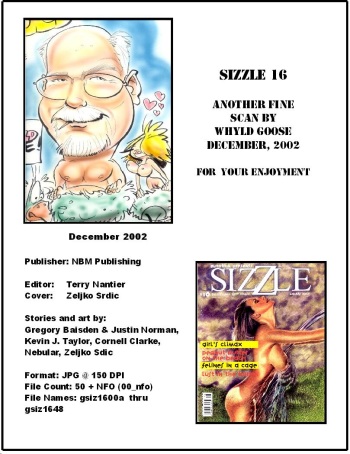 Sizzle Comix # 16 cover