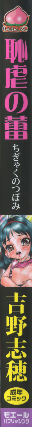 Chigyaku no tsubomi page 2 full