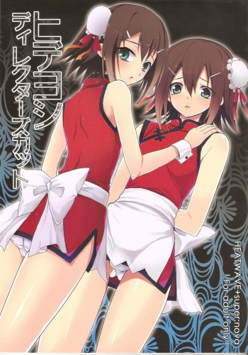 Hideyoshi Director's Cut cover