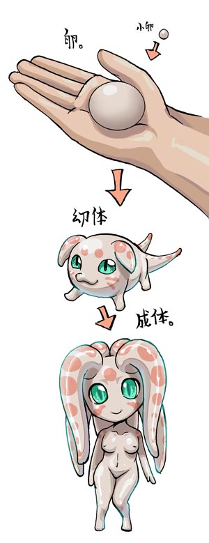 CG Set - Petaro page 4 full