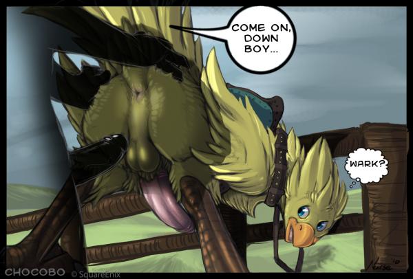 Furry Yaoi &not;&not; page 10 full