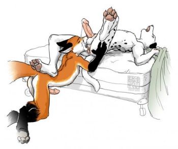 Furry Yaoi &not;&not; cover