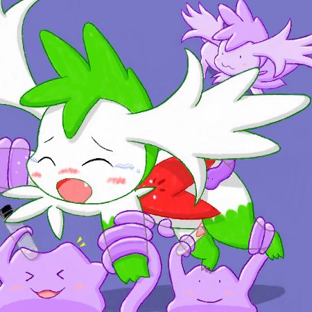 Pokemon: Shaymin and eeveelutions page 3 full