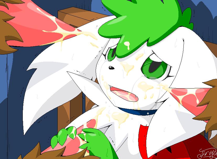 Pokemon: Shaymin and eeveelutions page 7 full